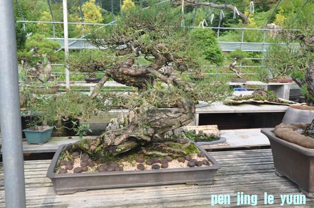 ������13��7�� 069.jpg