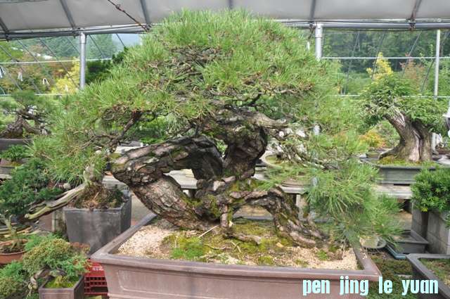 ������13��7�� 070.jpg