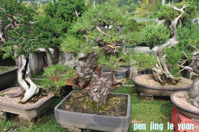 ������13��7�� 072.jpg