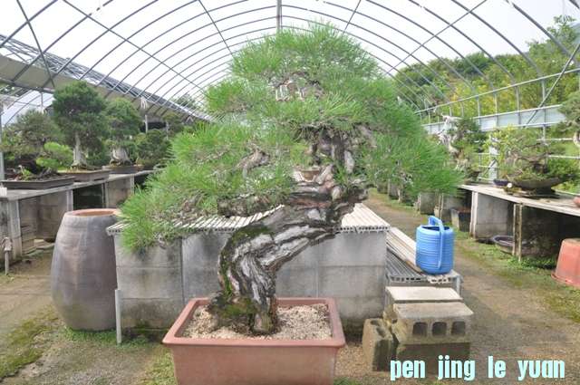 ������13��7�� 078.jpg