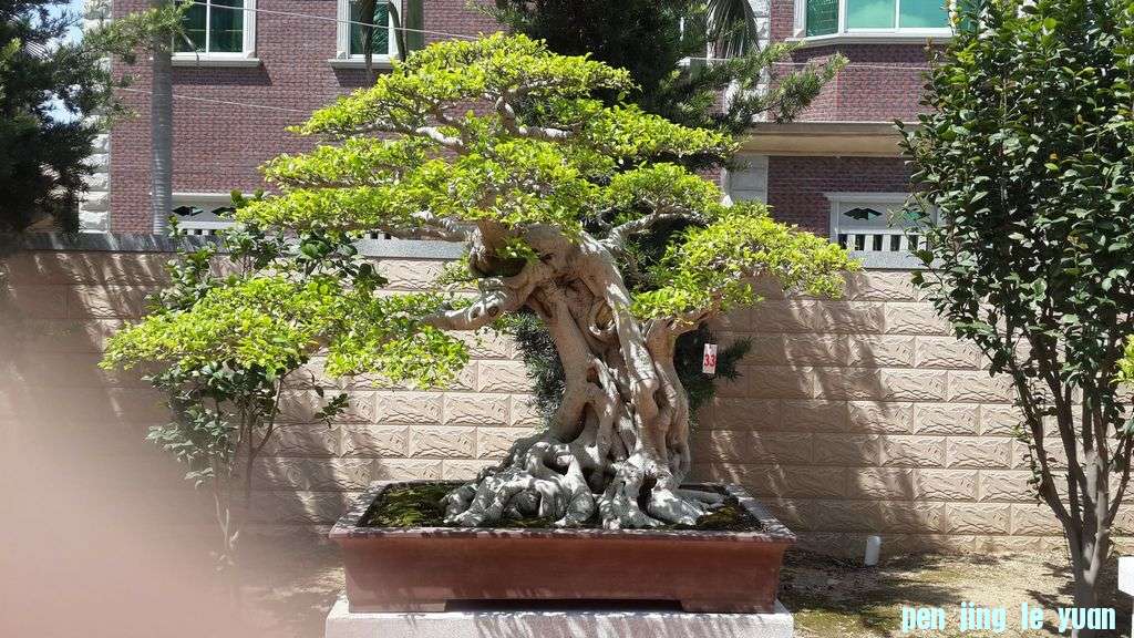 20130704_100043.jpg222.jpg