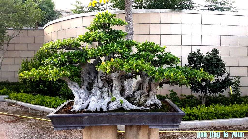 20130710_060645.jpg222.jpg