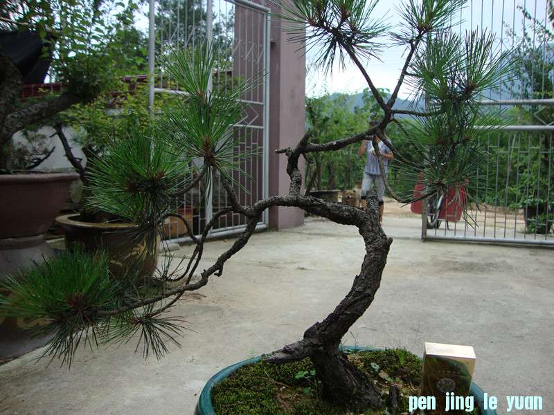 DSC01270_.jpg