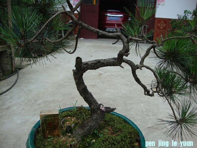 DSC01271_.jpg