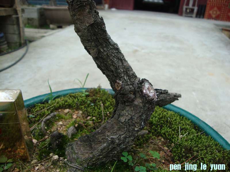 DSC01272_.jpg