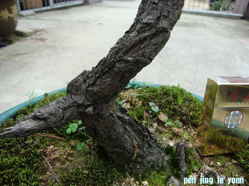 DSC01273_.jpg