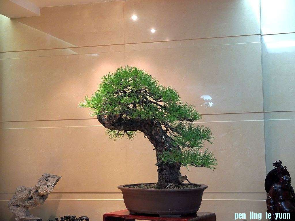  (1).jpg