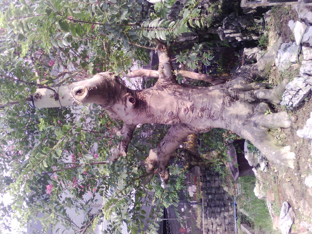 IMG_20130713_161102.jpg