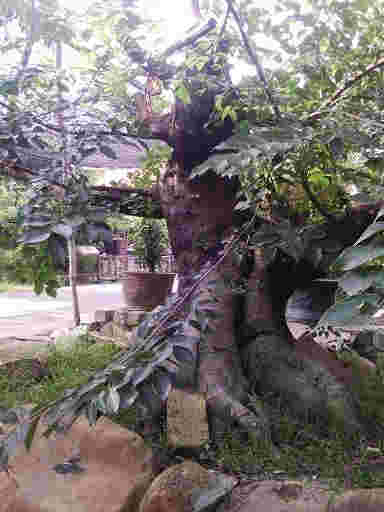 070021sv2i2r8e677ie19y_jpg_thumb.jpg