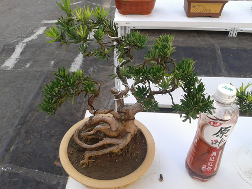 2013-07-13 15.06.27.jpg