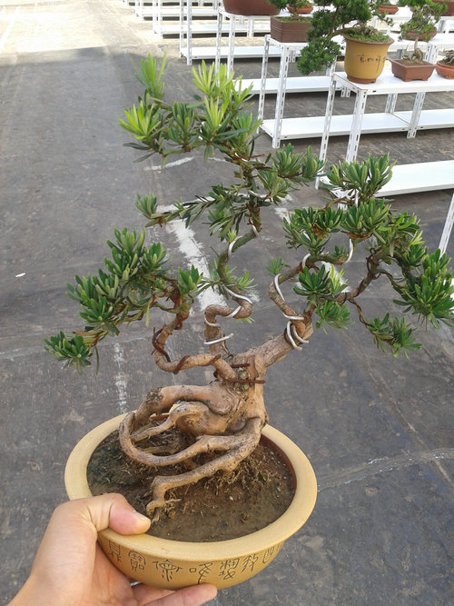 2013-07-13 15.07.58.jpg