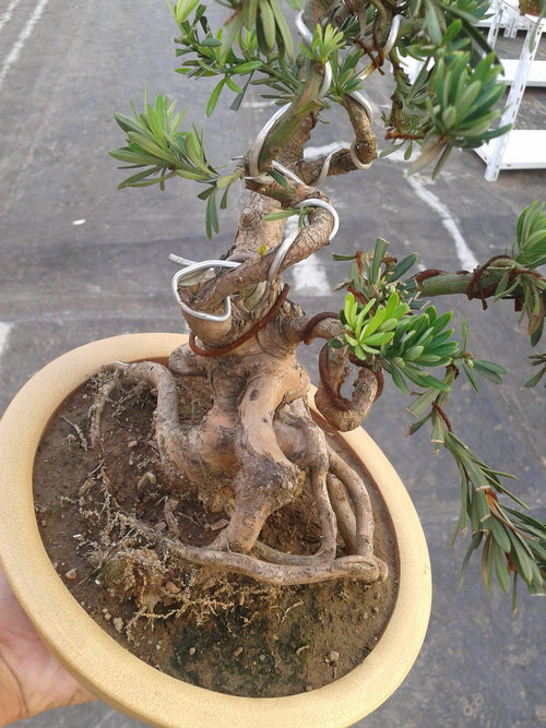 2013-07-13 15.08.37.jpg