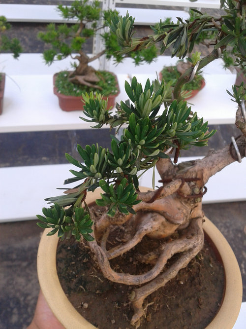 2013-07-13 15.10.05.jpg