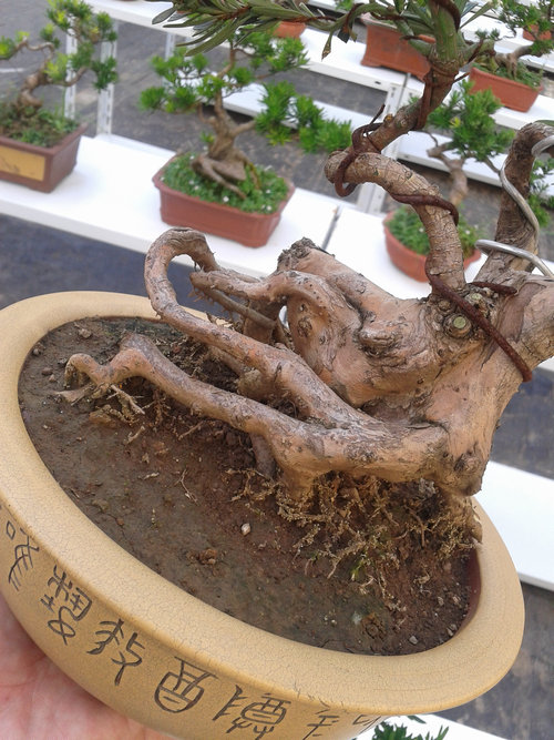 2013-07-13 15.11.13.jpg