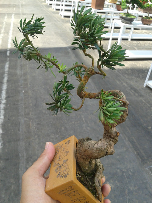 2013-07-13 14.48.54.jpg