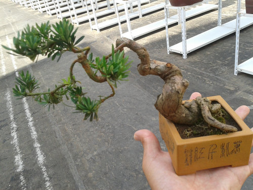 2013-07-13 14.49.13.jpg