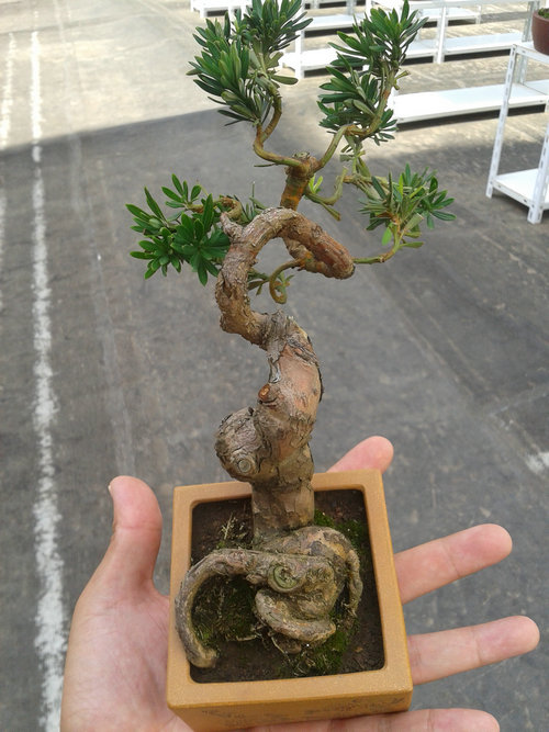 2013-07-13 14.49.33.jpg