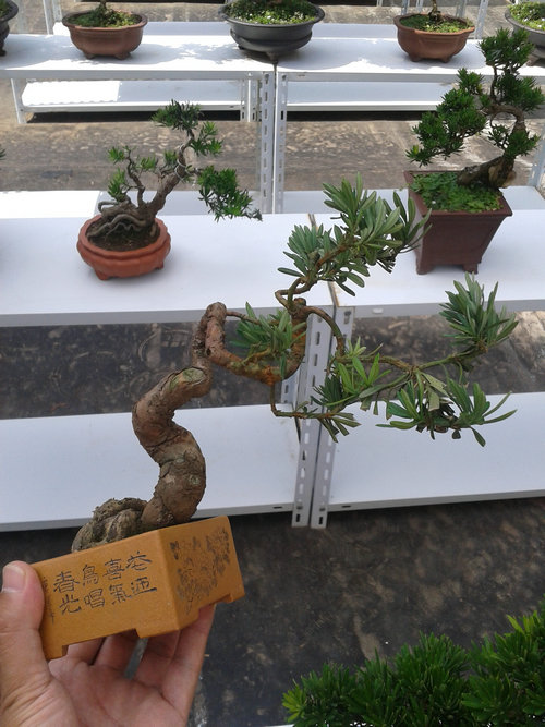 2013-07-13 14.50.35.jpg