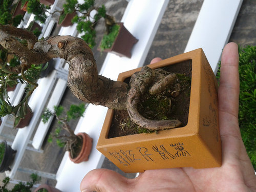 2013-07-13 14.51.47.jpg