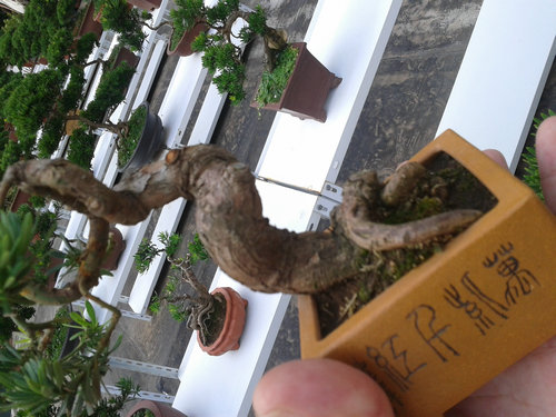 2013-07-13 14.52.07.jpg