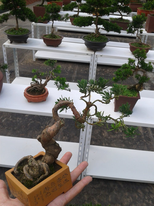 2013-07-13 14.52.46.jpg