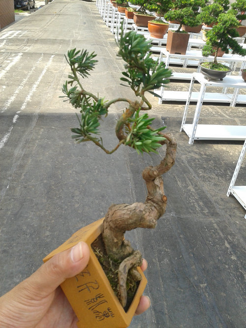 2013-07-13 14.56.21.jpg