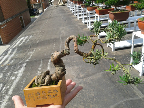 2013-07-13 14.47.40.jpg