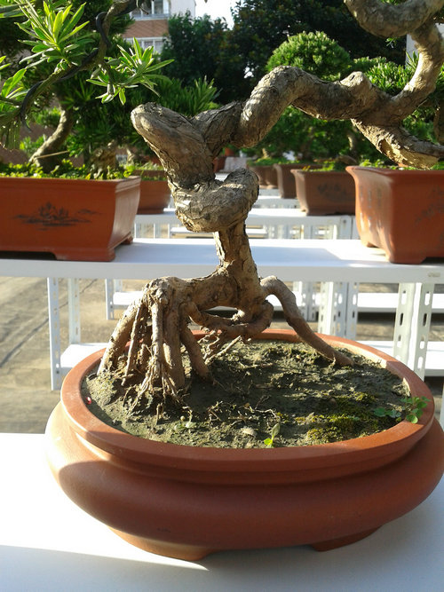 2013-07-13 17.18.00.jpg