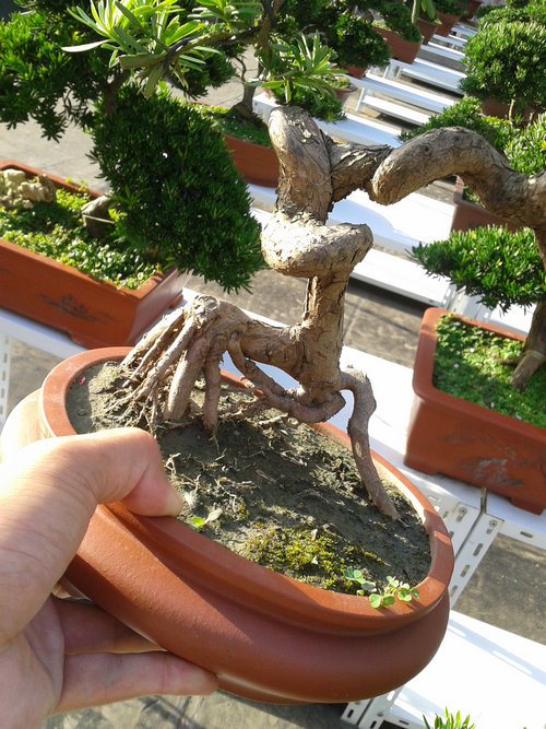 2013-07-13 17.18.44.jpg