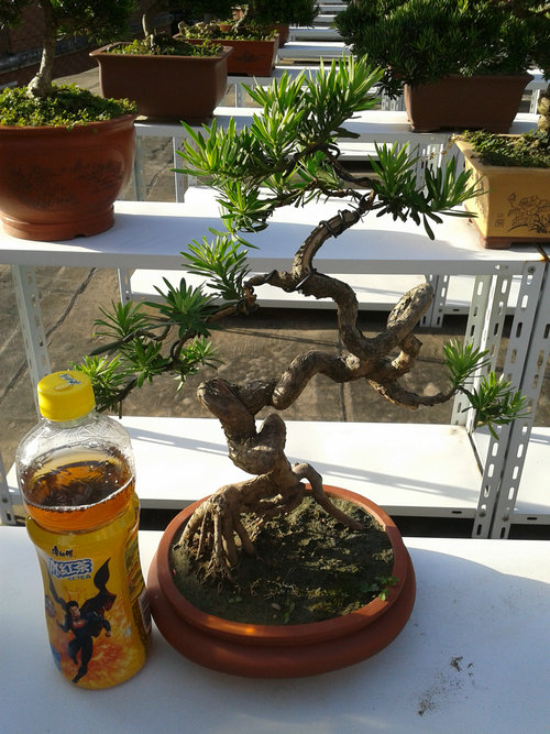 2013-07-13 17.20.02.jpg