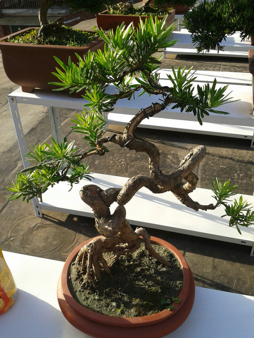 2013-07-13 17.15.53.jpg