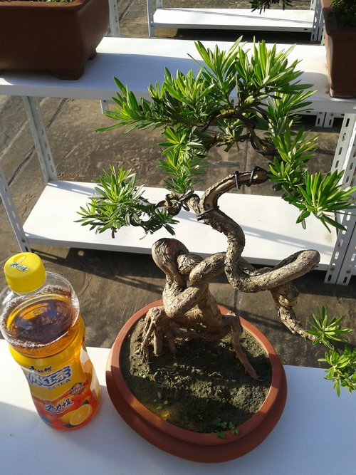 2013-07-13 17.16.23.jpg