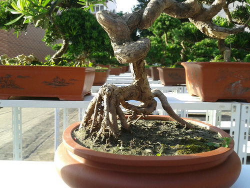 2013-07-13 17.17.47.jpg