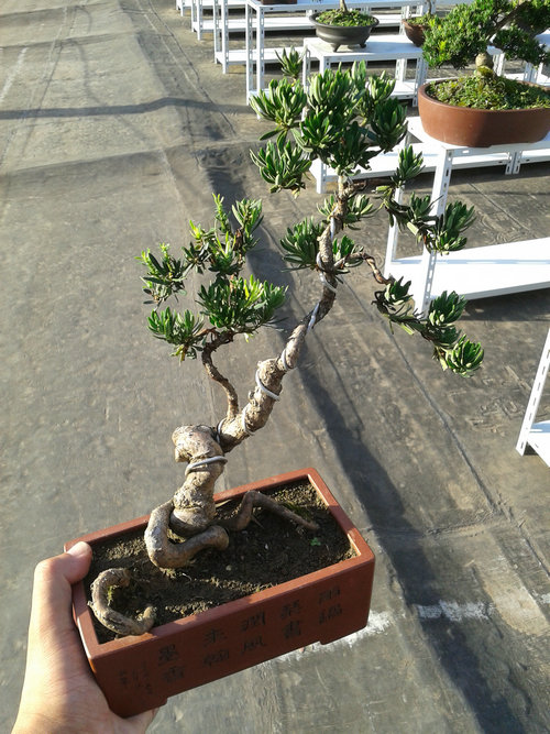 2013-07-13 17.33.08.jpg