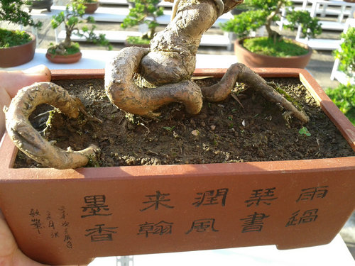 2013-07-13 17.33.24.jpg