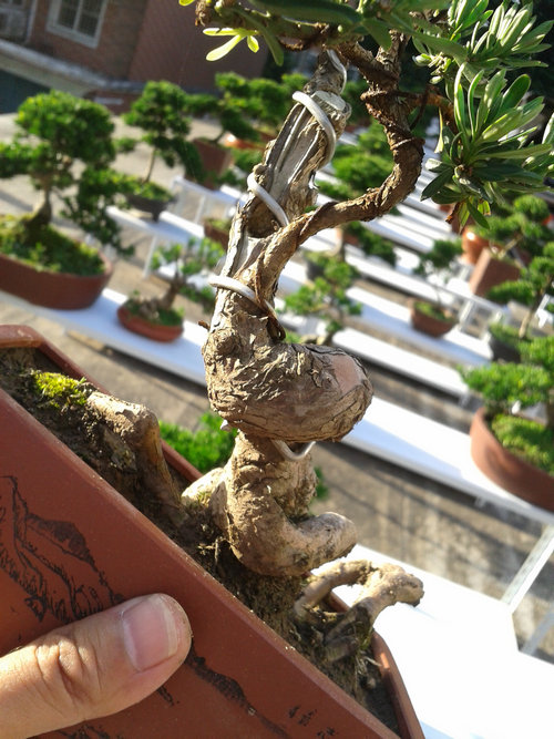 2013-07-13 17.33.37.jpg