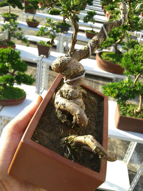 2013-07-13 17.33.58.jpg