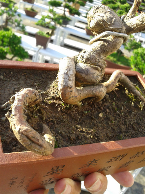 2013-07-13 17.34.09.jpg