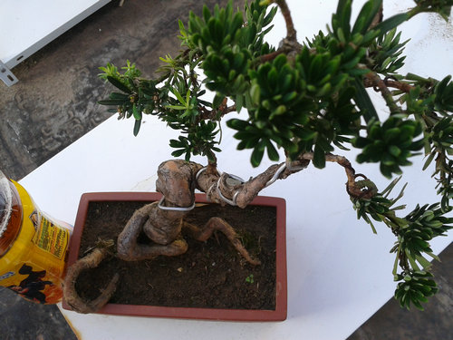 2013-07-13 17.32.40.jpg