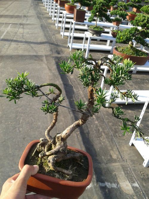 2013-07-13 17.28.26.jpg