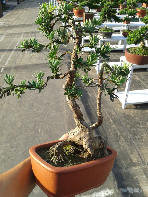 2013-07-13 17.28.47.jpg