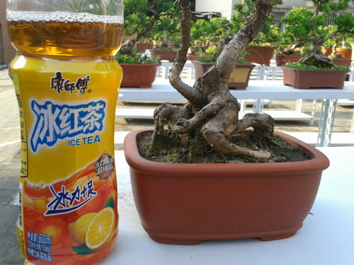 2013-07-13 17.29.31.jpg