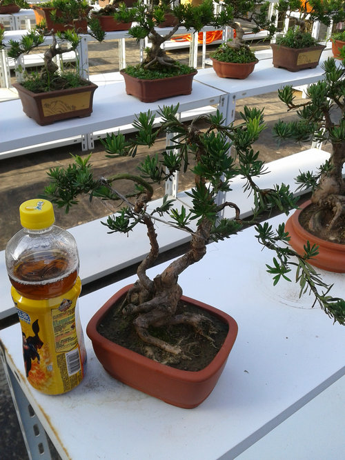 2013-07-13 17.30.47.jpg