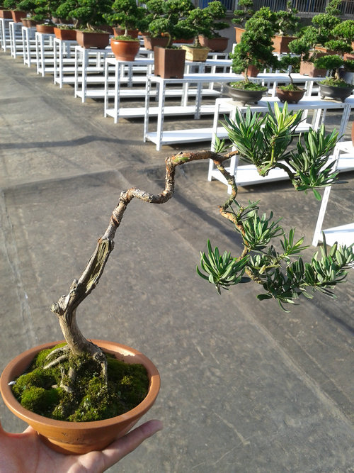 2013-07-13 17.26.12.jpg