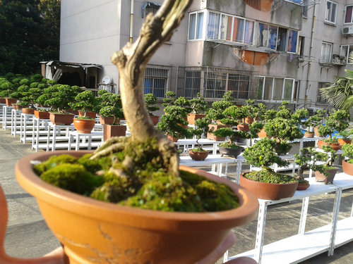 2013-07-13 17.26.24.jpg