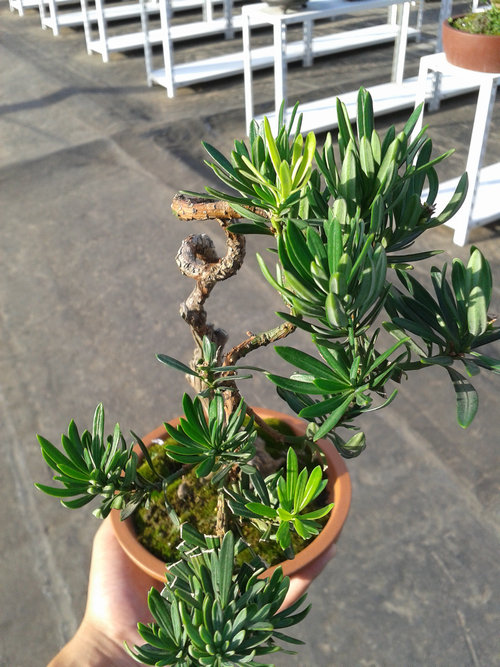 2013-07-13 17.26.35.jpg