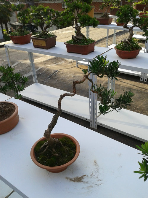 2013-07-13 17.26.55.jpg