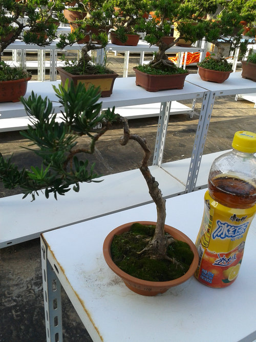 2013-07-13 17.24.59.jpg