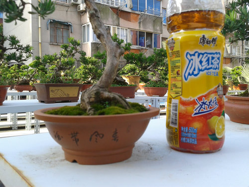 2013-07-13 17.25.15.jpg