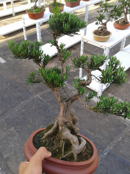 2013-07-13 17.21.07.jpg